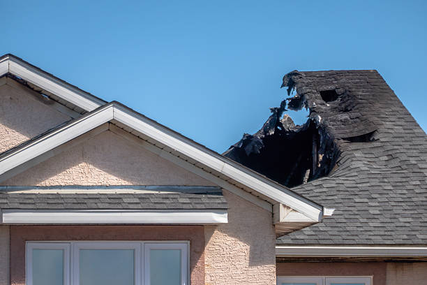 Top rated local Odor Removal specialists in Middletown, MD